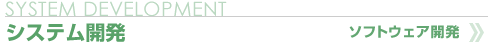 システム開発